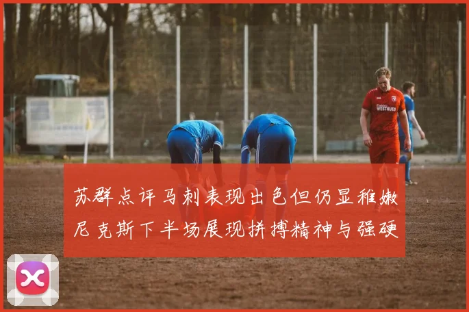 苏群点评马刺表现出色但仍显稚嫩尼克斯下半场展现拼搏精神与强硬防守