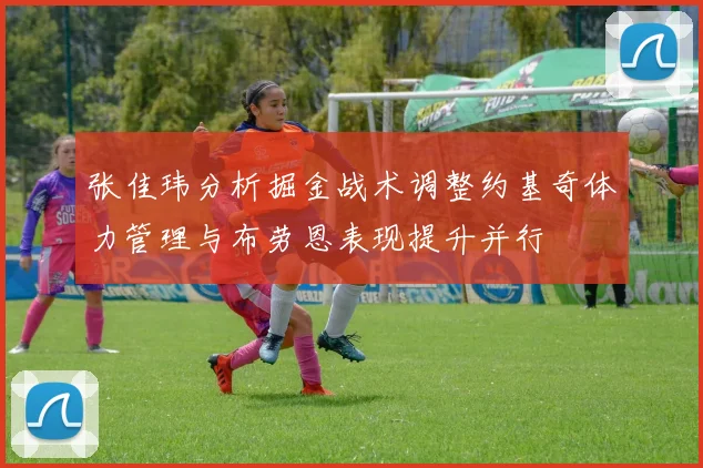 张佳玮分析掘金战术调整约基奇体力管理与布劳恩表现提升并行